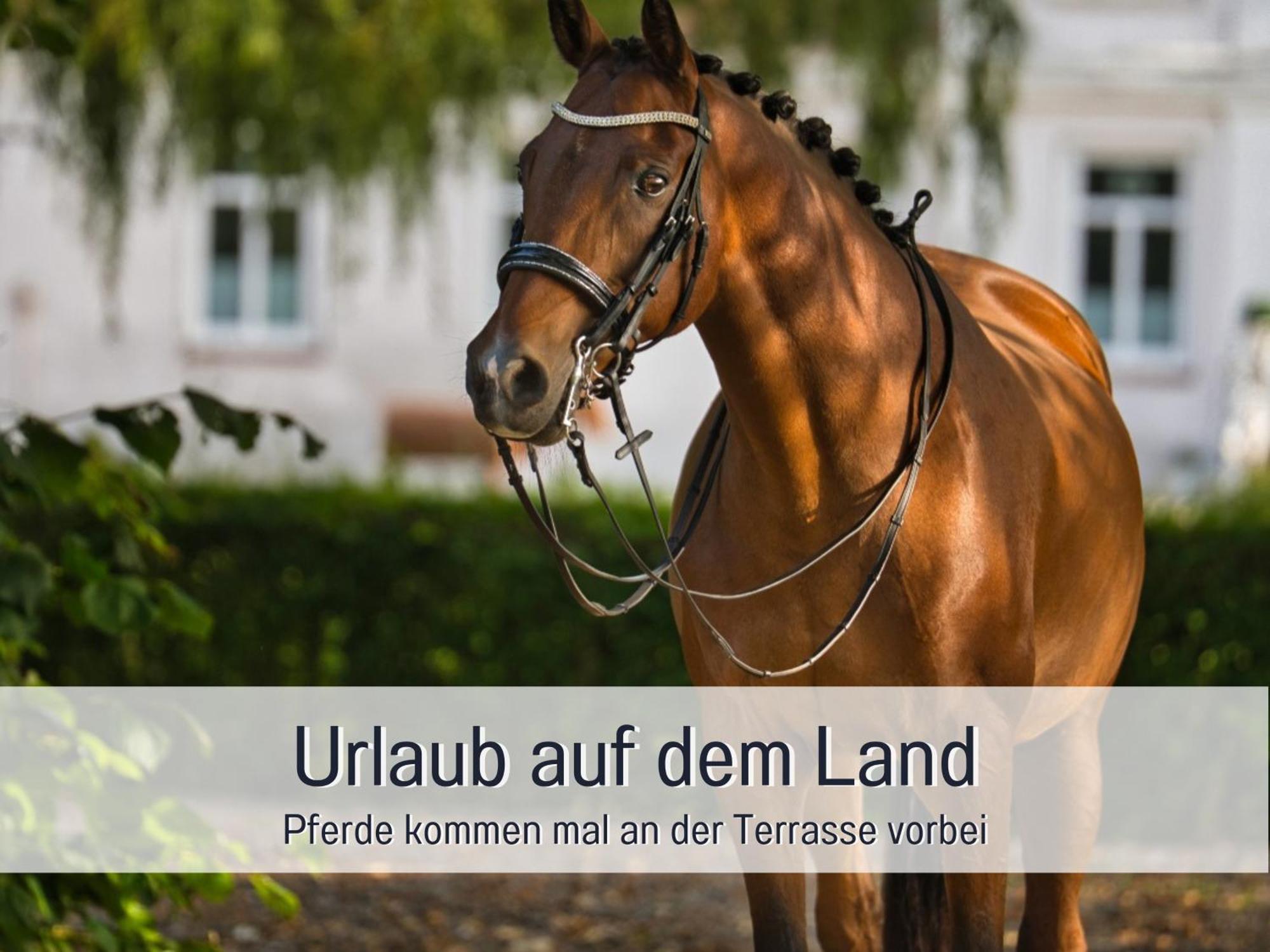 Ramoshansenhof Fewo Foerdebrise Mit Sauna Steinberg  Exteriör bild